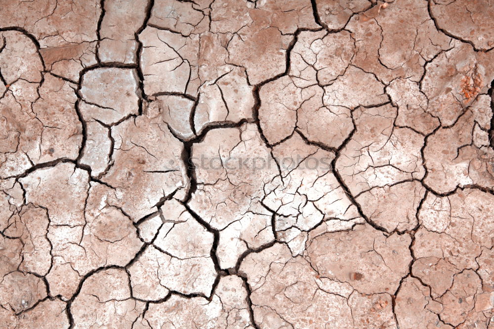 Similar – Image, Stock Photo aridity Drought Dry