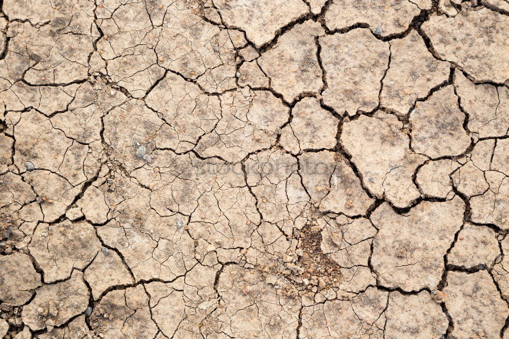 Similar – parched Dry Drought Loam