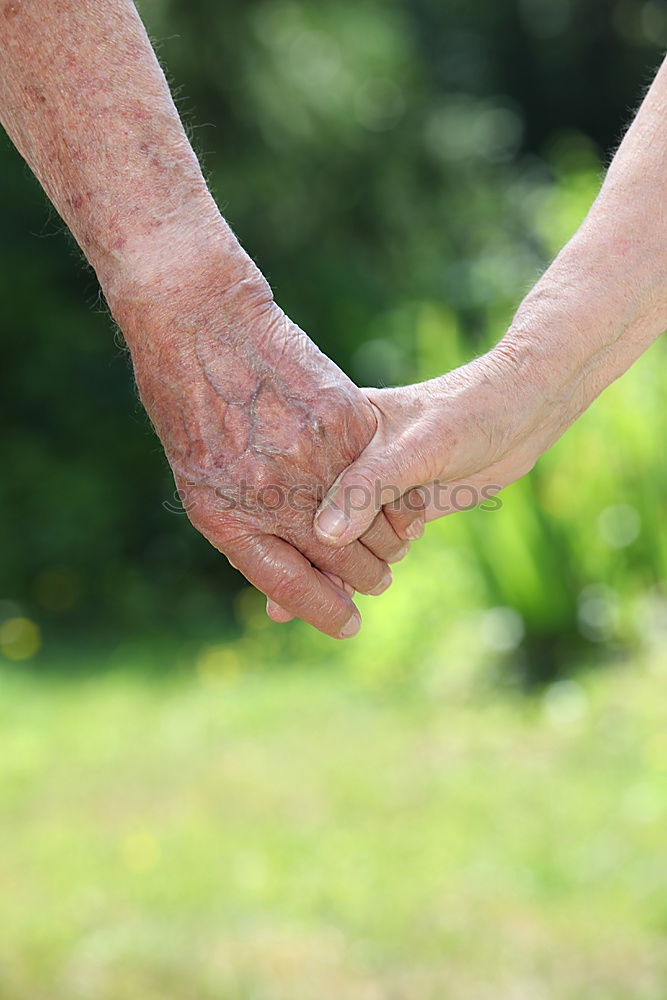 Similar – Image, Stock Photo Back view of child and senior man holding hand