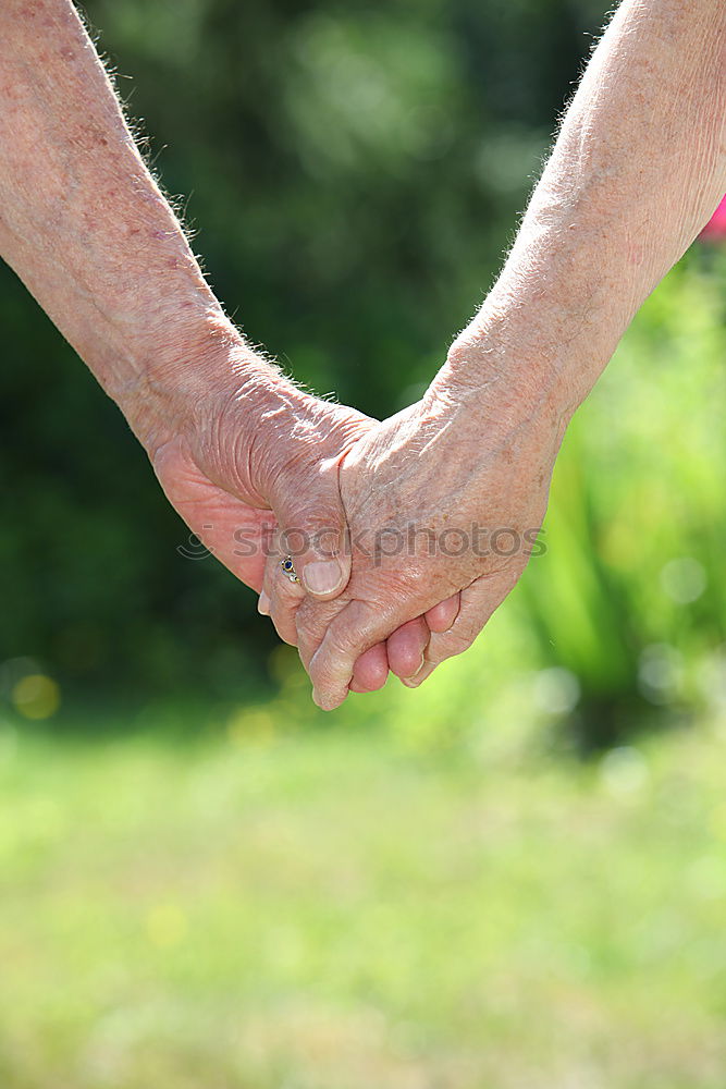 Similar – Image, Stock Photo Back view of child and senior man holding hand