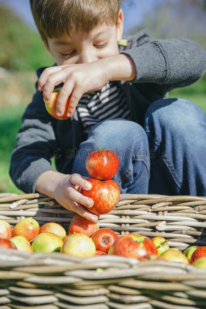 Similar – . Frucht Apfel Bioprodukte