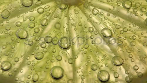 Similar – Image, Stock Photo Water drops Nature Plant