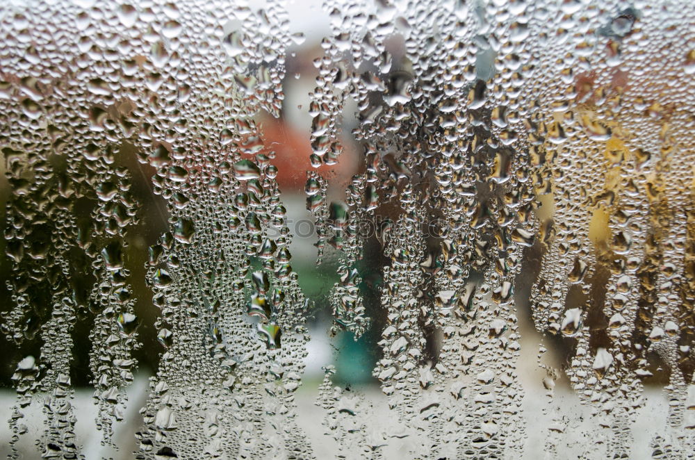 Similar – Image, Stock Photo cold and wet Umbrella Cold