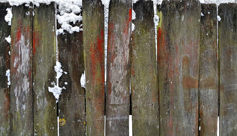 Similar – Foto Bild Schnee, der vor den Schuppen meiner Eltern fällt