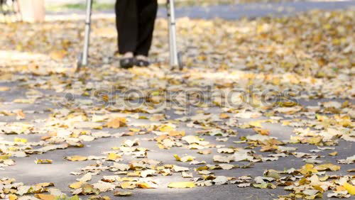 Similar – Foto Bild the storm Garten Frau