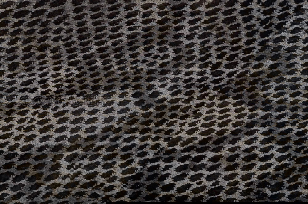 Similar – Image, Stock Photo crocodile skin Animal
