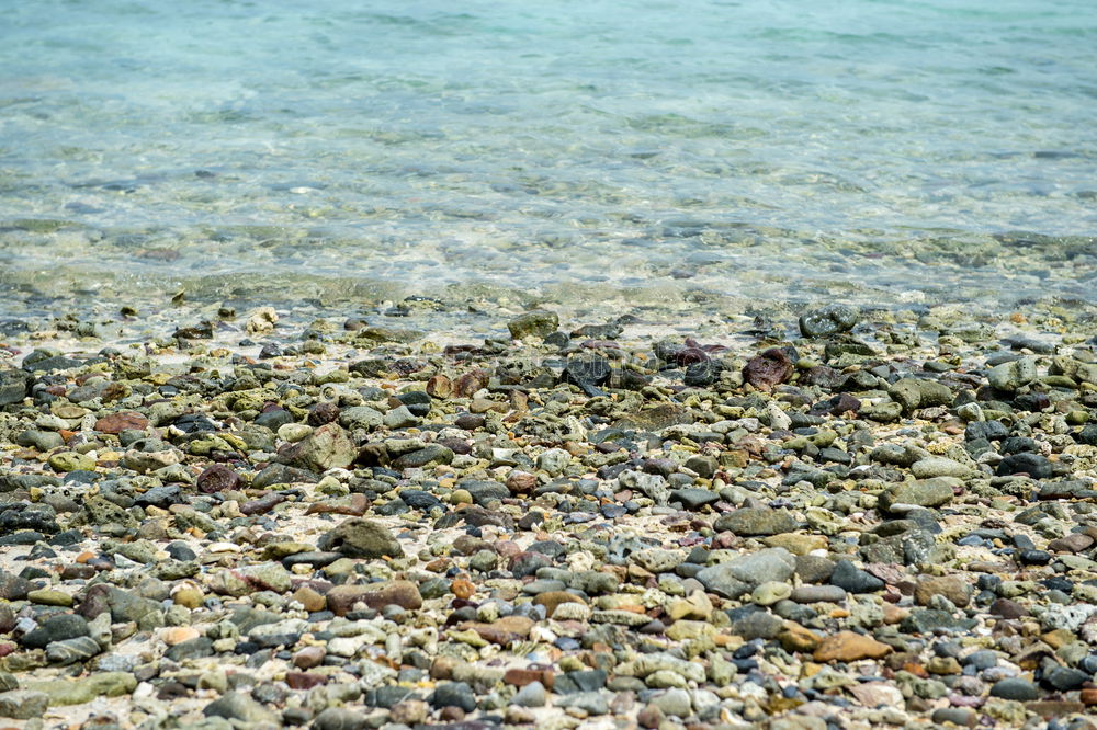 Similar – Image, Stock Photo primordial soup Earth Sand