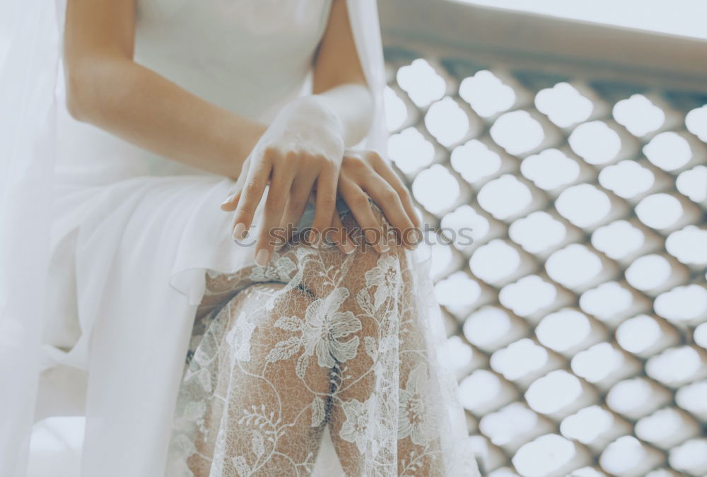 Similar – Image, Stock Photo Peonies in your hands