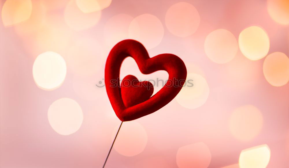 Similar – Image, Stock Photo Heart made of red roses on wooden table for Valentine’s Day.