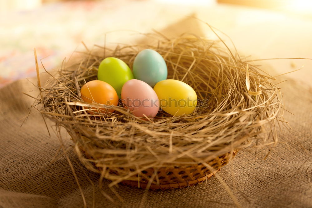 Similar – Image, Stock Photo Easter eggs in a basket on wooden background