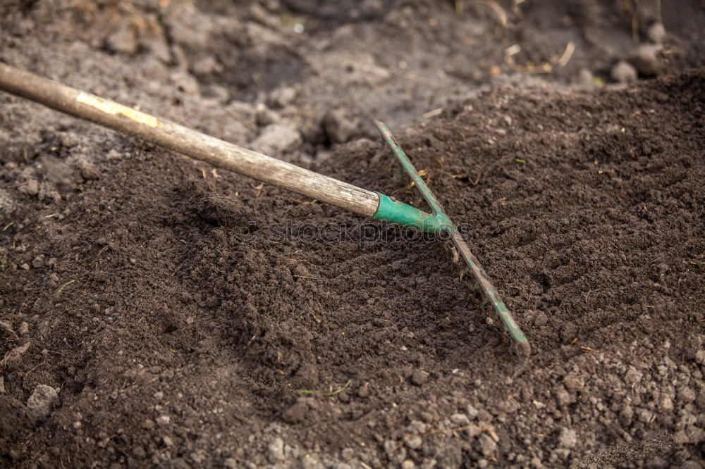 Similar – Planting potatoes