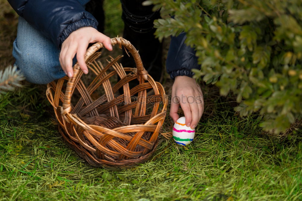 Similar – Woman hold parsnips in basket in the garden