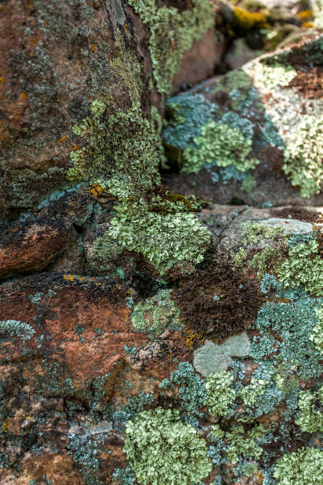 Similar – Foto Bild Klettern Bergsteigen