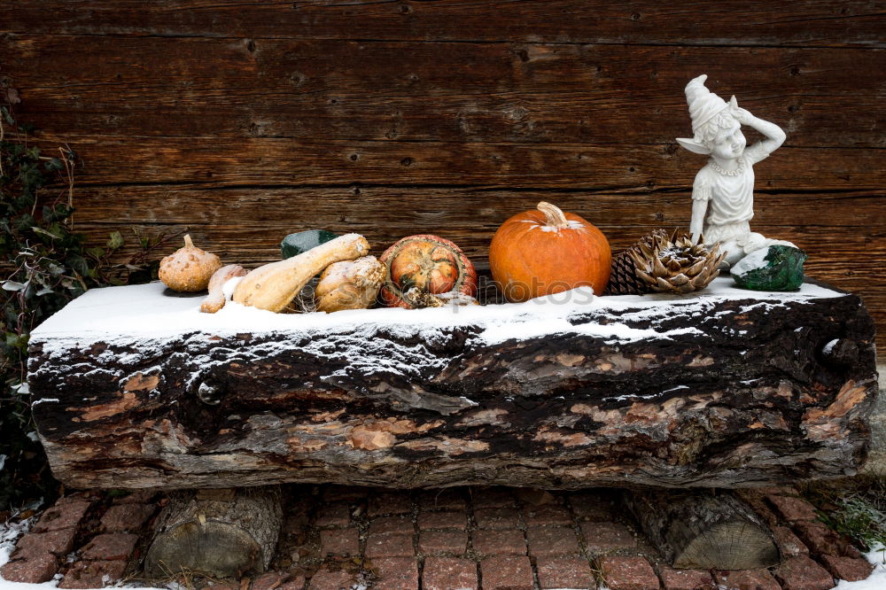 Similar – Rustic, beautiful Christmas decoration with twigs and a Christmas tree ball, on an old vintage table in winter during the Advent season. Christmas decorations with flower pot, tea light, glass vase, plants, cuttings on old stove, outside in the cold, icy garden.