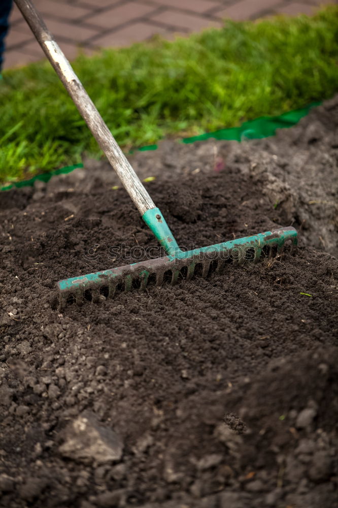 Similar – Planting potatoes