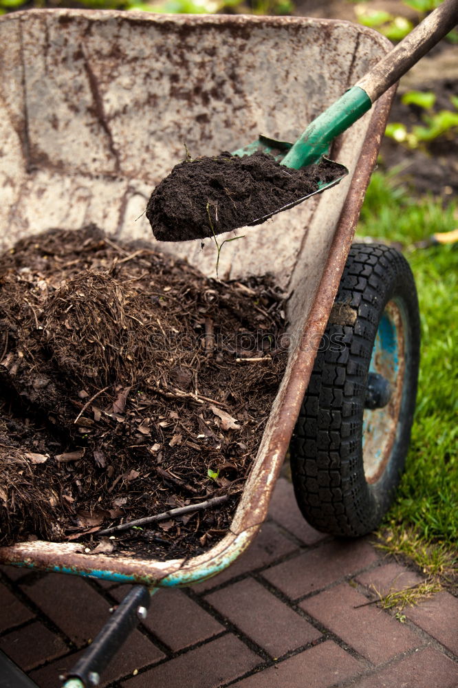 Similar – Planting potatoes in small garden