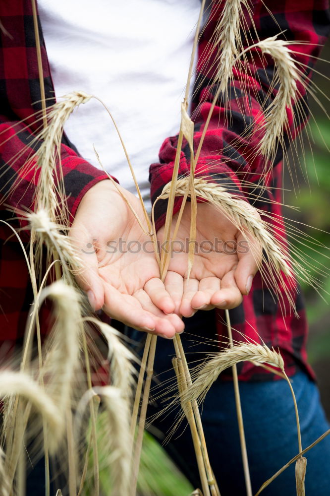 Similar – Image, Stock Photo Child holds beans seeds in hand