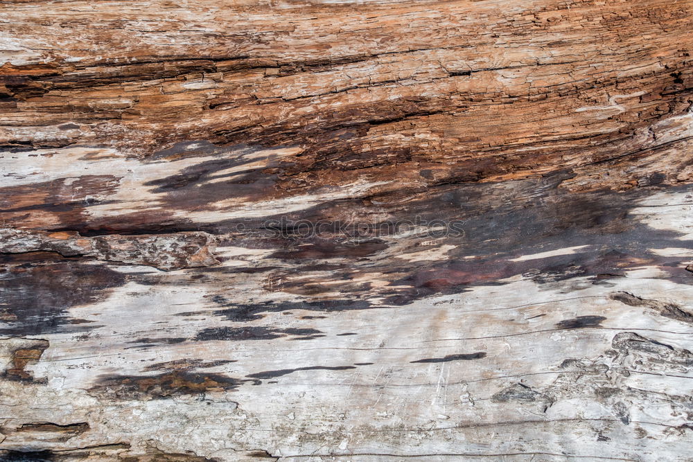 Similar – Image, Stock Photo Sedimentary rocks texture