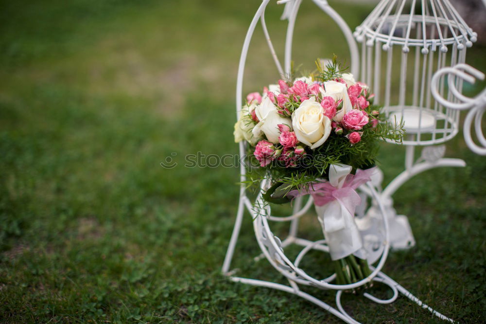 Similar – The bride’s bouquet [1]