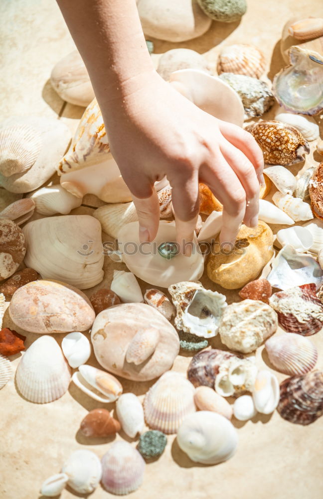 Similar – Image, Stock Photo stone collection Life