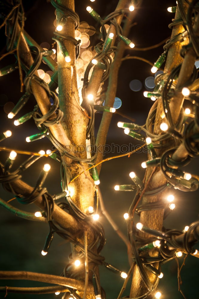 Similar – A Christmas tree with a string of lights lights up at night