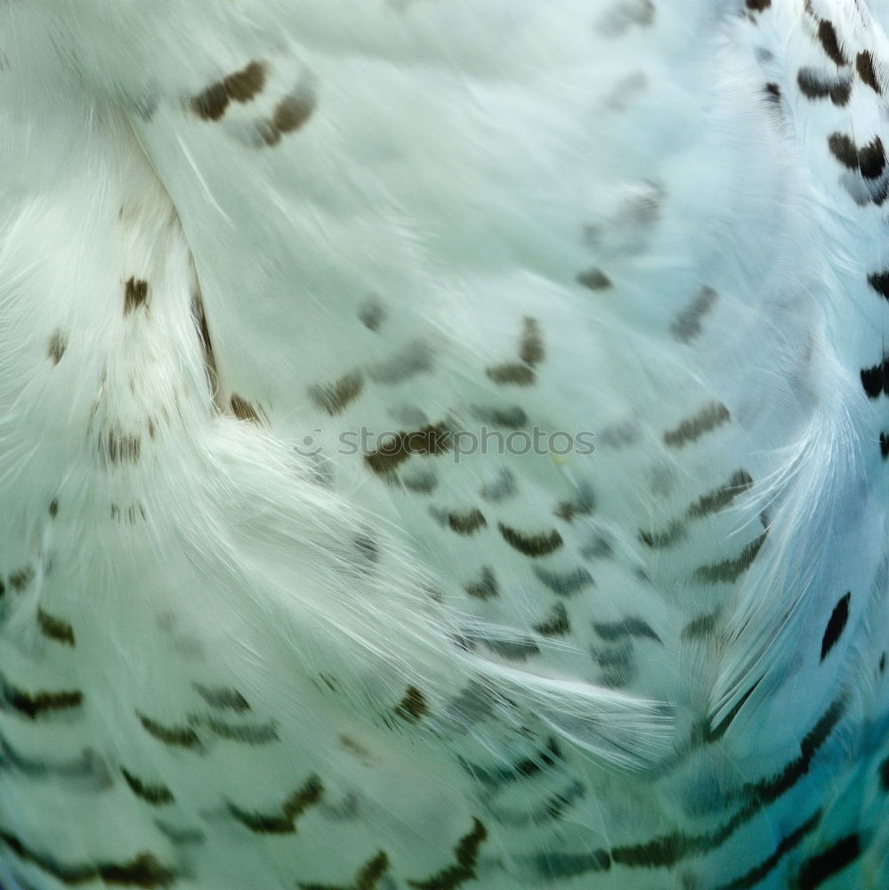 underwater waves