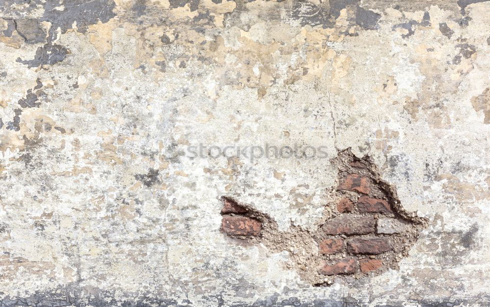 Similar – Image, Stock Photo footprints Drought Plant