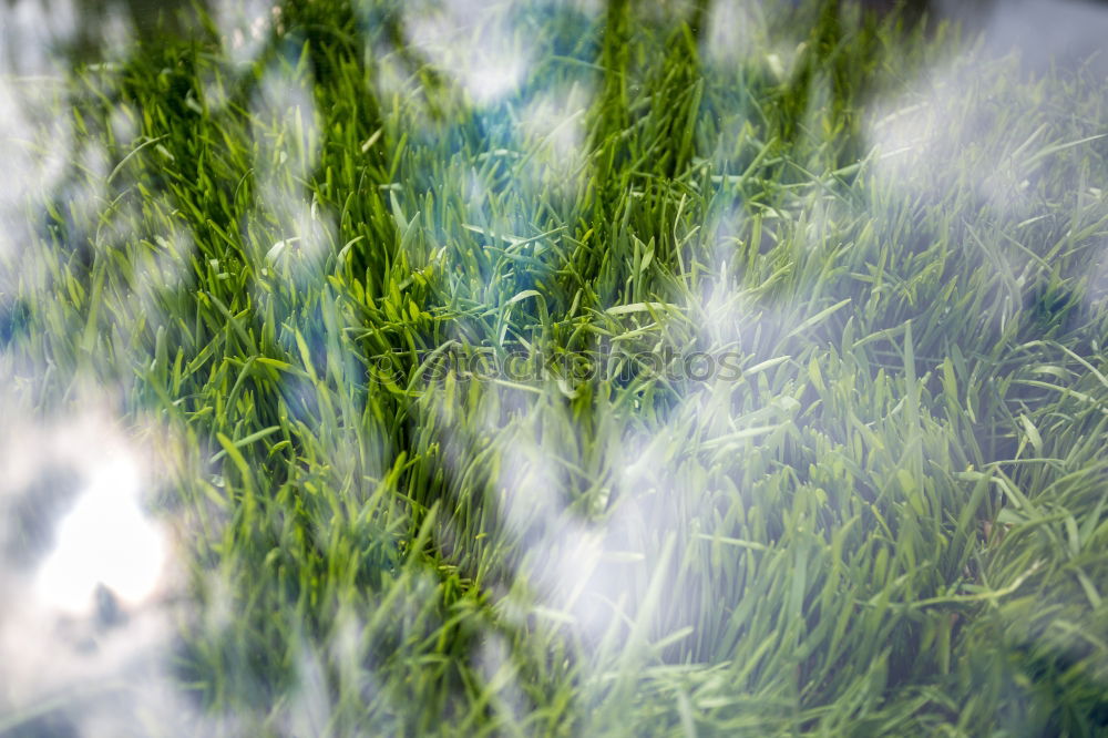 Similar – Image, Stock Photo lightning rain Nature