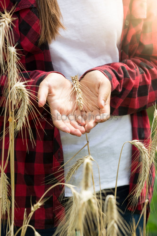 Image, Stock Photo Young cowgirl in a field of cereals