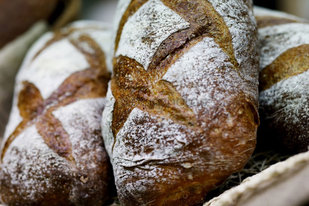 Many mixed breads and rolls.