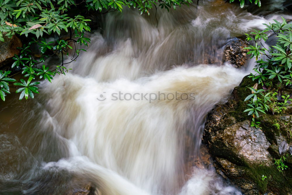 Image, Stock Photo by the rushing brook….