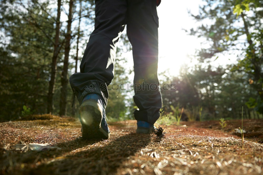 Similar – Image, Stock Photo Feet in the light Leaf