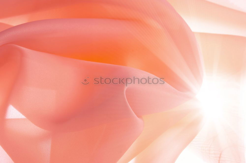 Similar – Image, Stock Photo Rosamond Pink