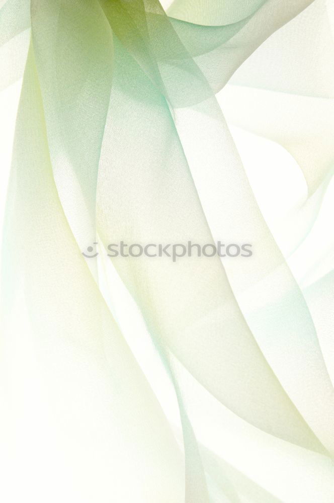 Similar – White flowers with bokeh