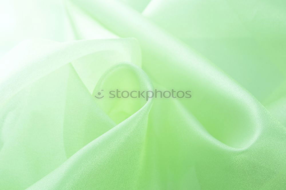 Similar – Image, Stock Photo lily of the valley II