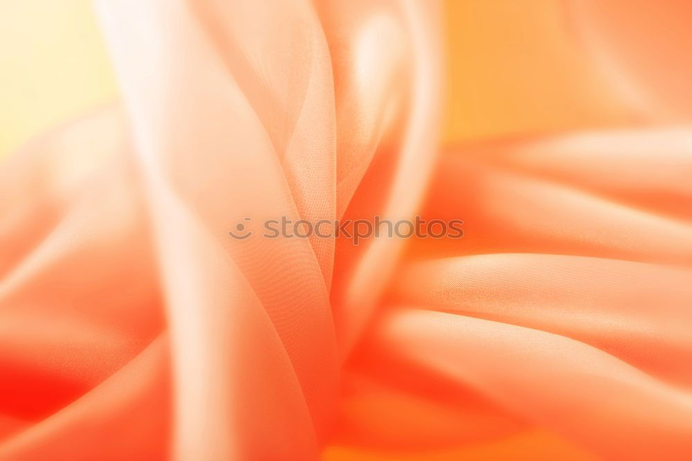 Similar – Image, Stock Photo Dahlia with a light spot