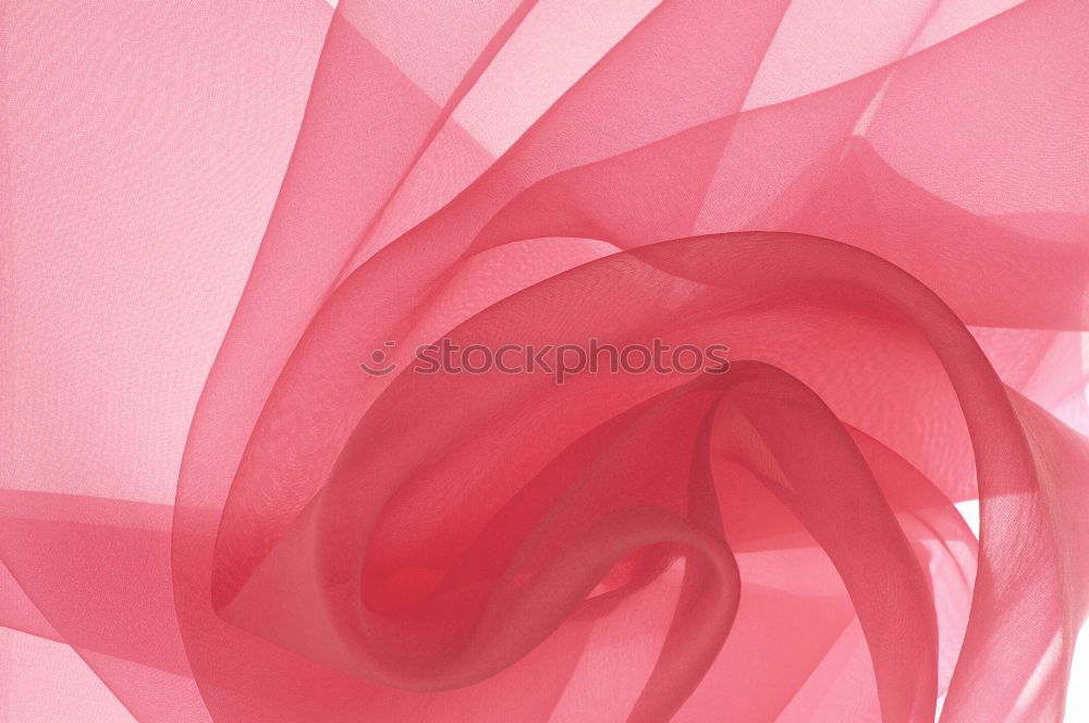 Similar – Image, Stock Photo Rose Pink Red Nature Plant