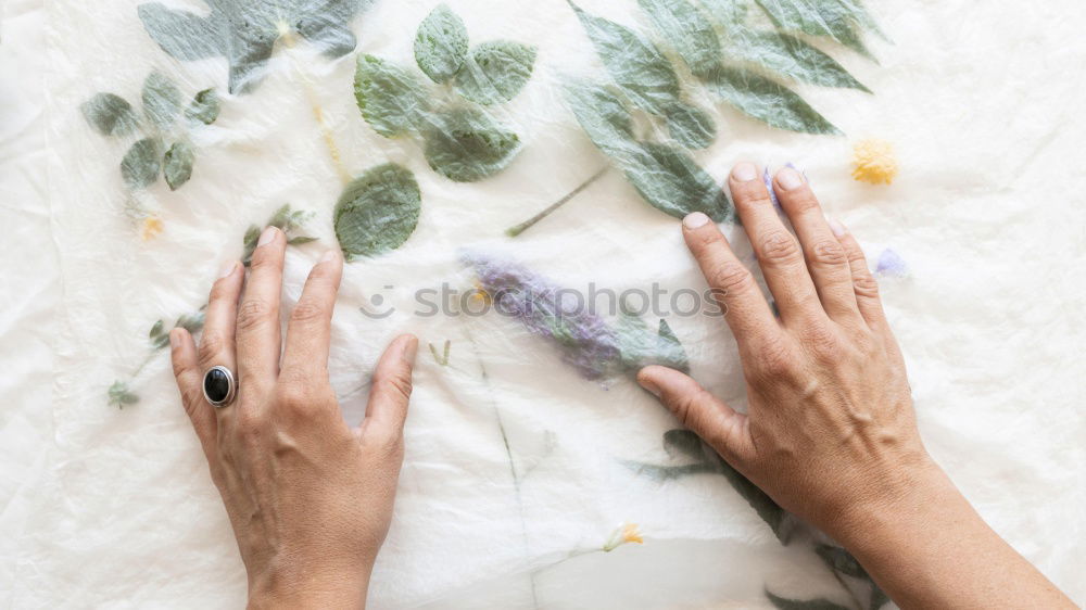Similar – Image, Stock Photo Female hands make beautiful flowers gift