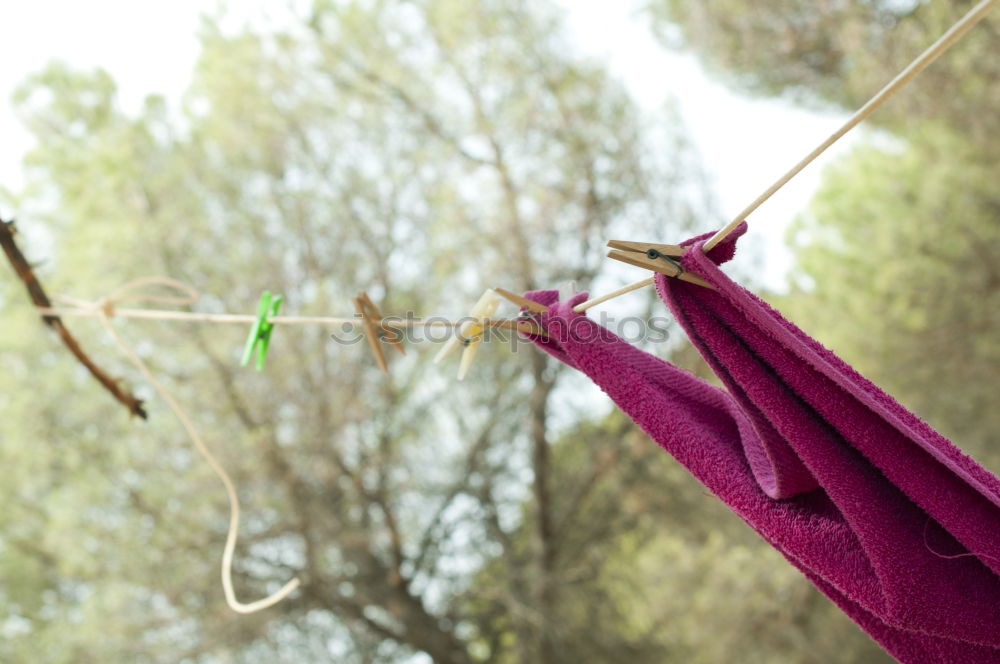 Image, Stock Photo pZ3 l Drying laundry on the clothesline