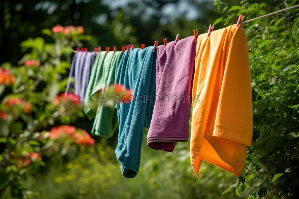 Similar – Image, Stock Photo Baby bibs on laundry