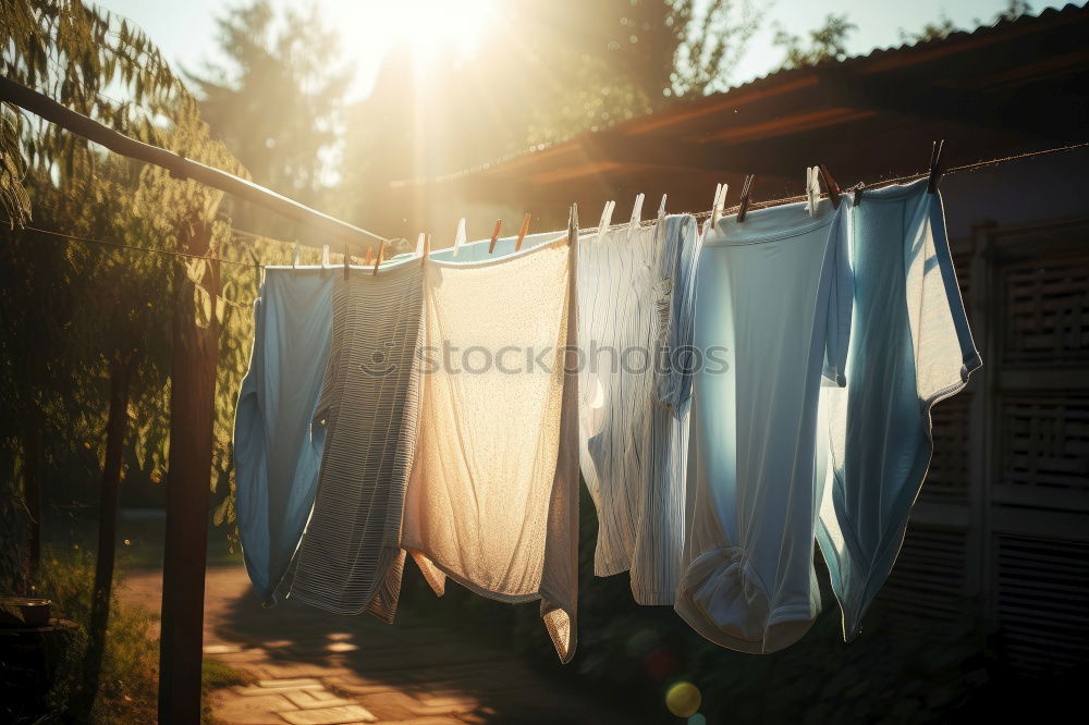 Similar – Image, Stock Photo Laundry on the line