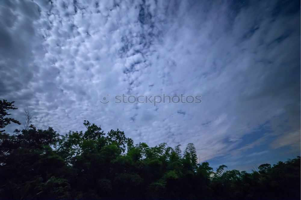 Similar – Image, Stock Photo Small temple in the lake park