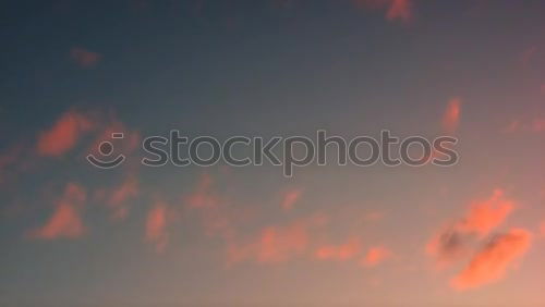 Similar – Moon, sky, tree (detail views)