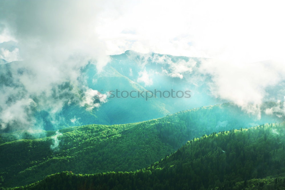 Similar – Image, Stock Photo Black Forest Calm Trip