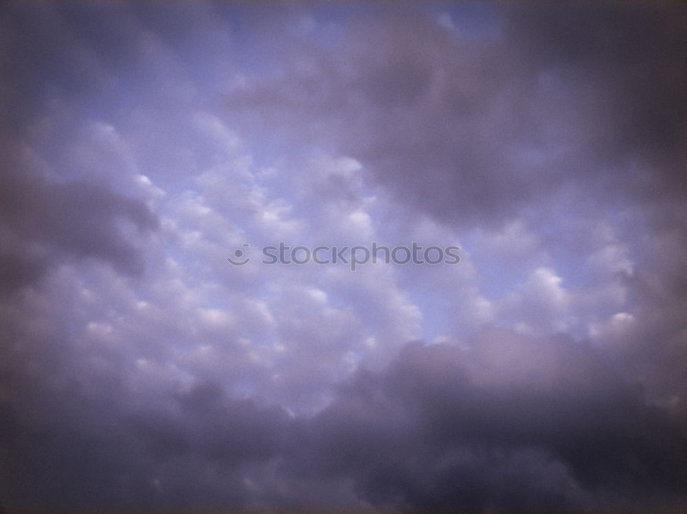 Similar – Foto Bild Palmenhimmel Blatt Baum