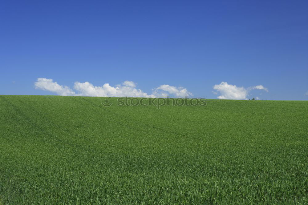 Similar – Image, Stock Photo Tyre tracks in spring