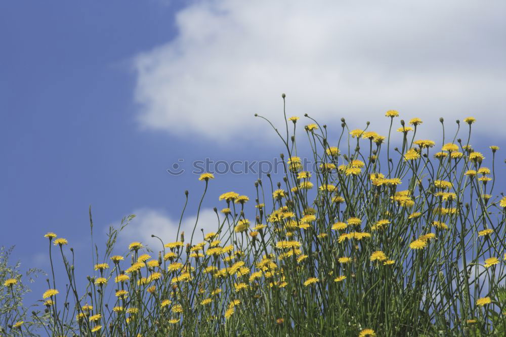 Foto Bild blau 06 wandern Pause