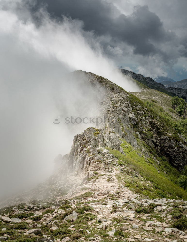 Similar – Image, Stock Photo Prags high alp Italy