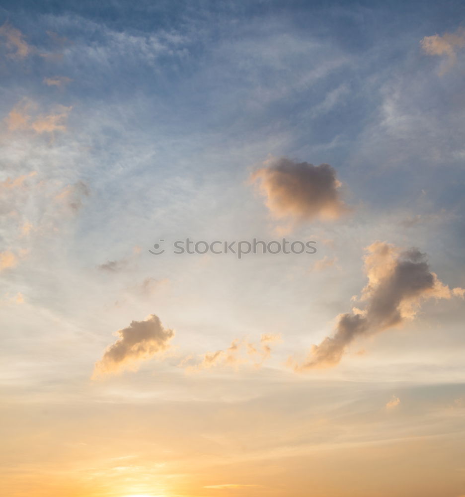 Similar – Image, Stock Photo Paragliding in the sunset at the sea