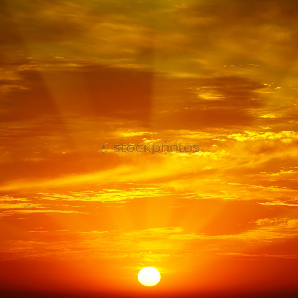 Similar – orange sky Sky Red Tree